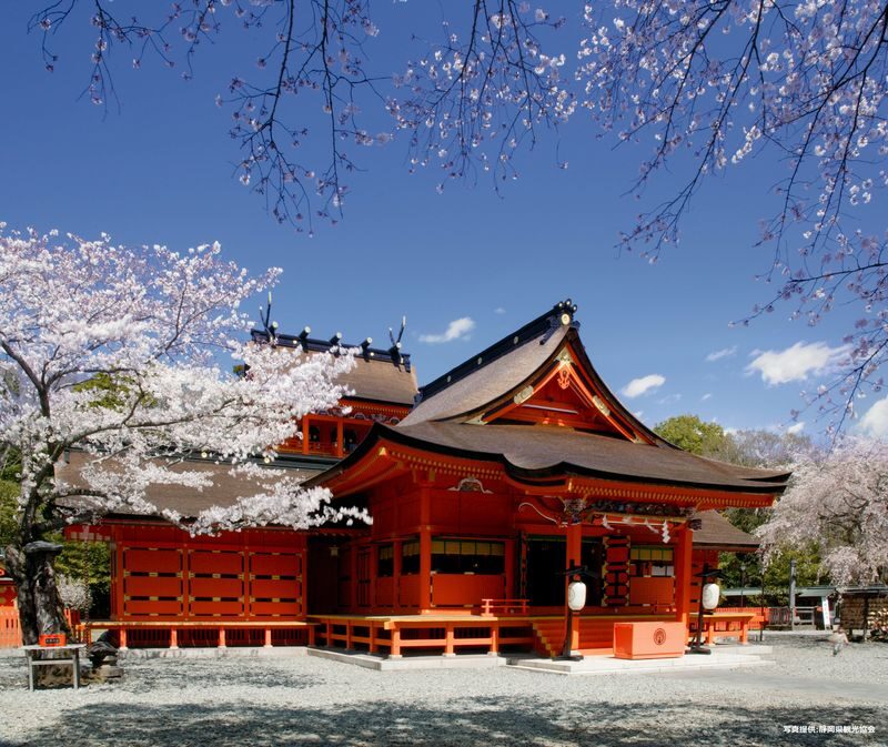 Feel Mt.Fuji and Sake tasting 1D Private Tour in Shizuoka - Reading Fuji at the World Heritage Centre