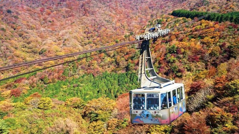 From Tokyo: Day Trip to Hakone self guided tour with Hakone Free pas - Getting from Tokyo to Hakone
