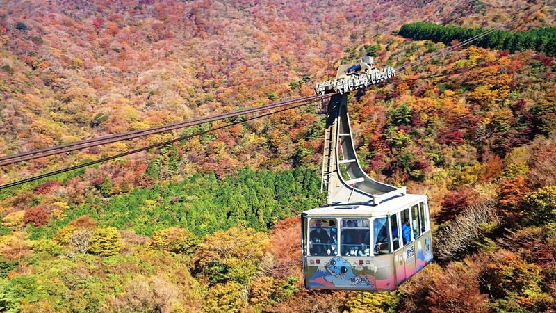 From Tokyo: Day Trip to Hakone self guided tour with Hakone Free pas - Getting from Tokyo to Hakone