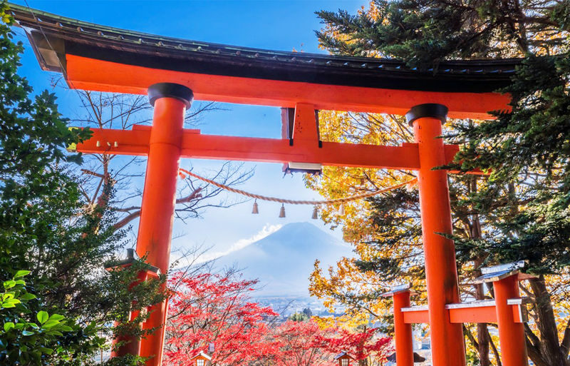 Fuji Photography Tour: Arakurayama Sengen Park, Hikawa Clock Shop, Oshino Hakkai, the most beautiful Lawson convenience store, and Lake Kawaguchiko Oishi Park (Departure from Tokyo). - Arakurayama Sengen Park: the pagoda and Fuji in one frame