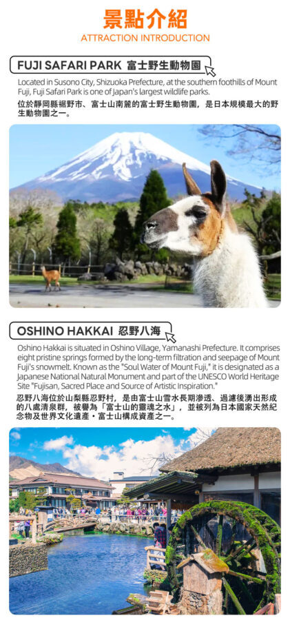 Fuji Safari Park, Oshino Hakkai, and Lake Kawaguchiko Oishi Park Flower Viewing Day Trip for Families (Round Trip from Tokyo Shinjuku) - Fuji Safari Park: budget time for the animal options