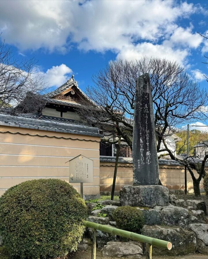 Fukuoka Chartered Day Tour | Chinese Driver and Guide, 10-Hour Private Transfer | Multiple Routes Available or Customizable in Fukuoka/Nagasaki/Oita/Kumamoto/Takachiho - Canal City, the waterfront and Fukuoka after dark