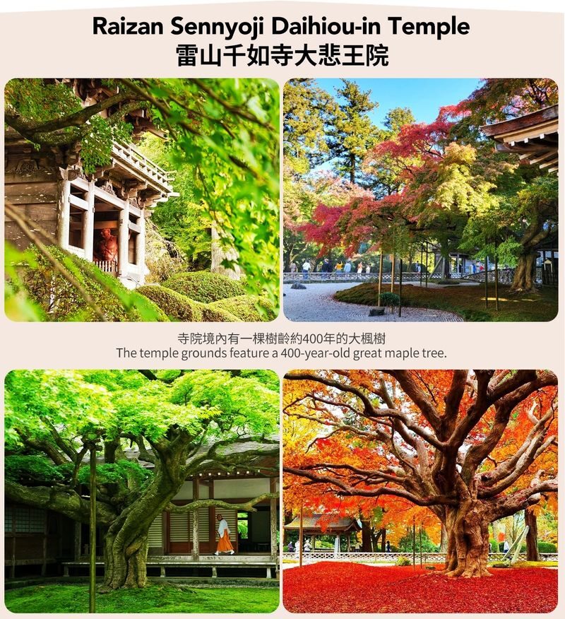 Fukuoka Coast: 6 Major Attractions Day Trip, Experience Romantic Swings - Shiraito Falls: a change of scenery