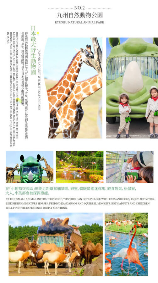 Fukuoka Departure: Yufuin (Yunohira) & Beppu Hells Hot Springs & Kyushu Natural Zoological Park Day Tour - Yufuin and Kinrinko Lake: a scenic pause