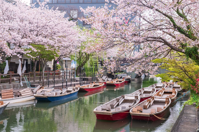 Fukuoka Full-Day Dazaifu, Yanagawa Boating & Outlets Tour - Strawberry picking, best in season