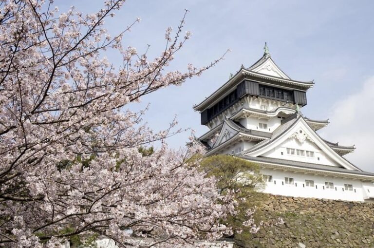 Fukuoka private car charter service: Mojiko, Karato Market, Kokura Castle, Miyajidake Shrine, Munakata Taisha, Kawachi Wisteria Garden, Sarakurayama night view, etc. - Mojiko’s red bricks and harbor air