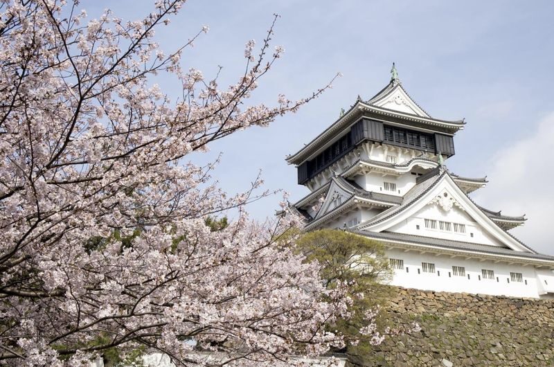 Fukuoka private car charter service: Mojiko, Karato Market, Kokura Castle, Miyajidake Shrine, Munakata Taisha, Kawachi Wisteria Garden, Sarakurayama night view, etc. - Mojiko’s red bricks and harbor air