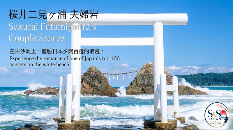 Fukuoka Shiraito Falls & Itoshima Coastal Day Tour - Forest paths, café time, and local salt
