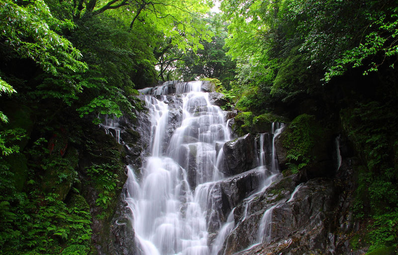 Fukuoka Shiraito Falls & Itoshima Scenic Spots Full-Day Tour - A Buddhist temple adds a quieter pause