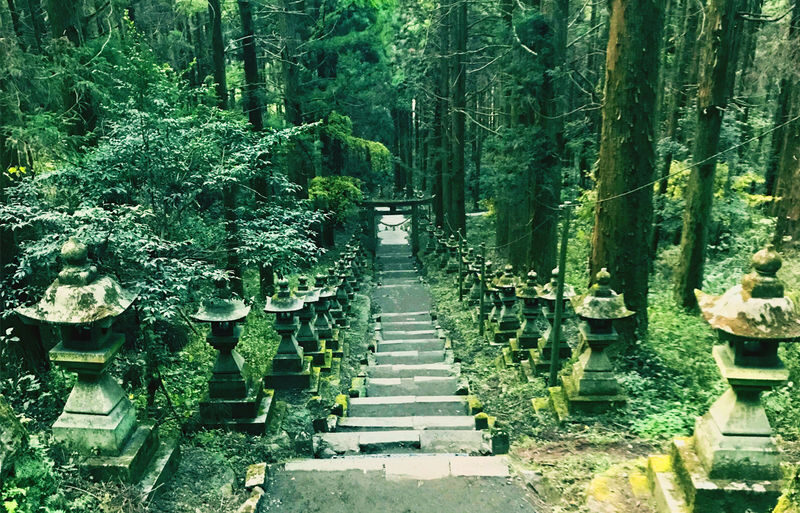 Fukuoka Takachiho Gorge & Kamishikimi Kumanoza Shrine Day Trip - Takachiho Gorge: scenic time, with a boating choice