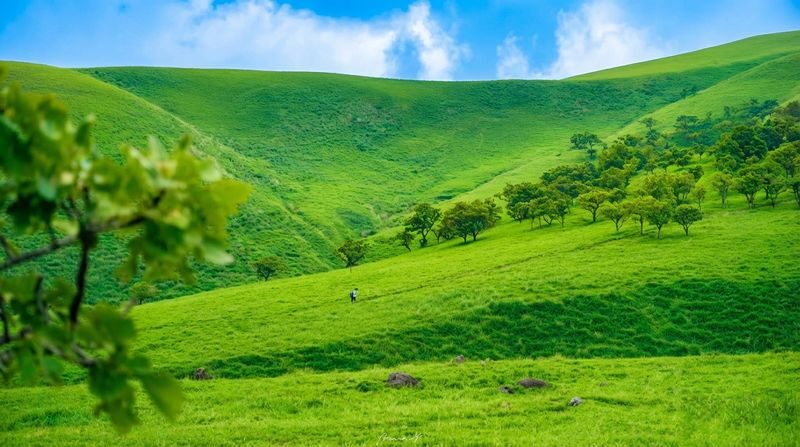 Fukuoka & Yufuin & Kyushu Safari Park Day Tour (Optional Yufuin no Mori Train Experience) - Kyushu African Safari as the wildlife stop
