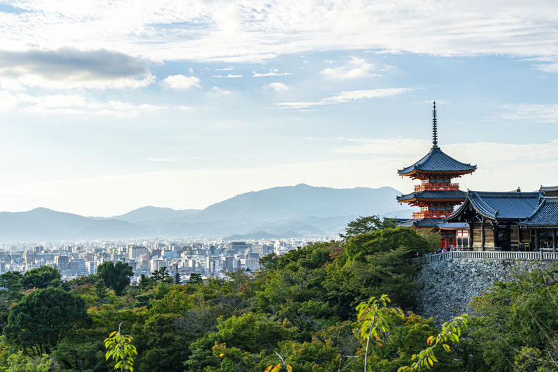 Fushimi Inari-Taisha | Arashiyama |Kiyomizu-Dera Day Tour from Kyoto - Starting at Kyoto Station