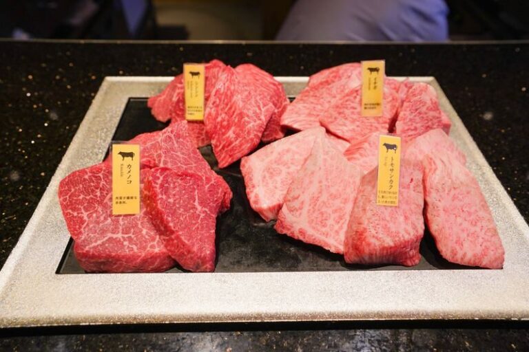 Ginza VIP A5 Rank Wagyu Tour: All-You-Can-Eat Wagyu & Sake Tasting - A5 Wagyu, cooked at the counter