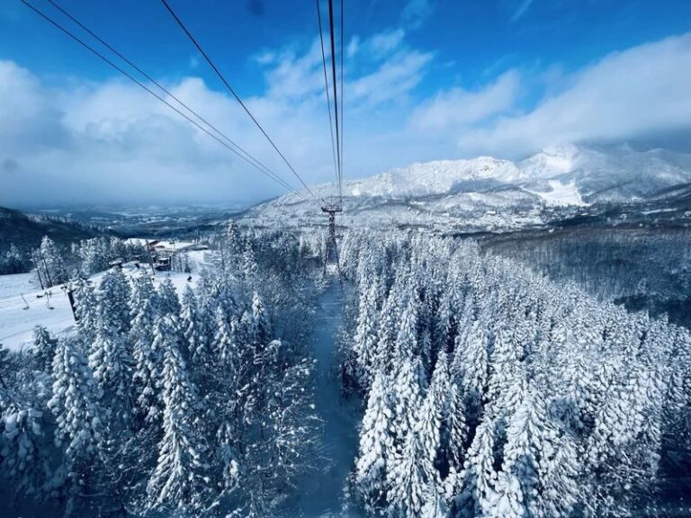 Ginzan Onsen + Yamagata Winery + Zao Ropeway + Mogami River Snow Viewing Boat 2-Day Tour (Hot spring hotel with 2 meals) - A hot spring hotel night, with meals included