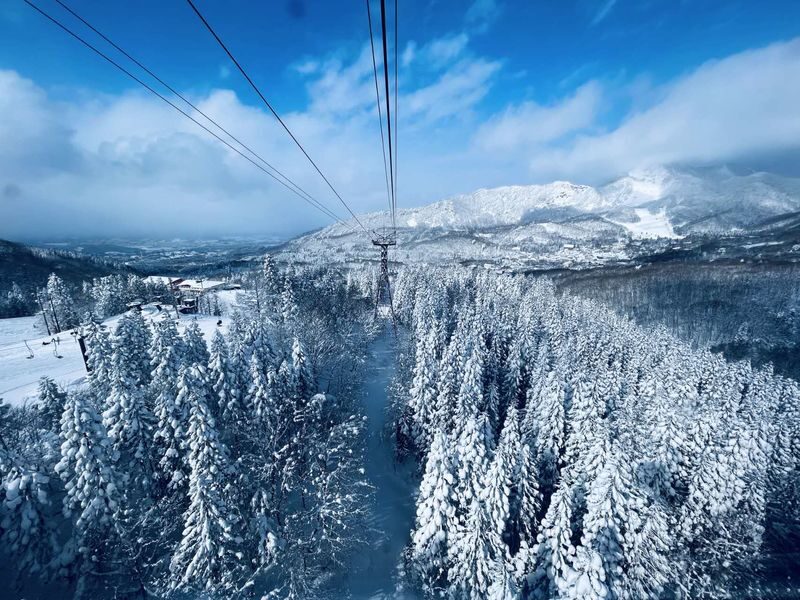 Ginzan Onsen + Yamagata Winery + Zao Ropeway + Mogami River Snow Viewing Boat 2-Day Tour (Hot spring hotel with 2 meals) - A hot spring hotel night, with meals included