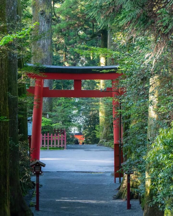 Gotemba Outlets & Hakone Private Customizable Full-Day Tour - What the private format changes