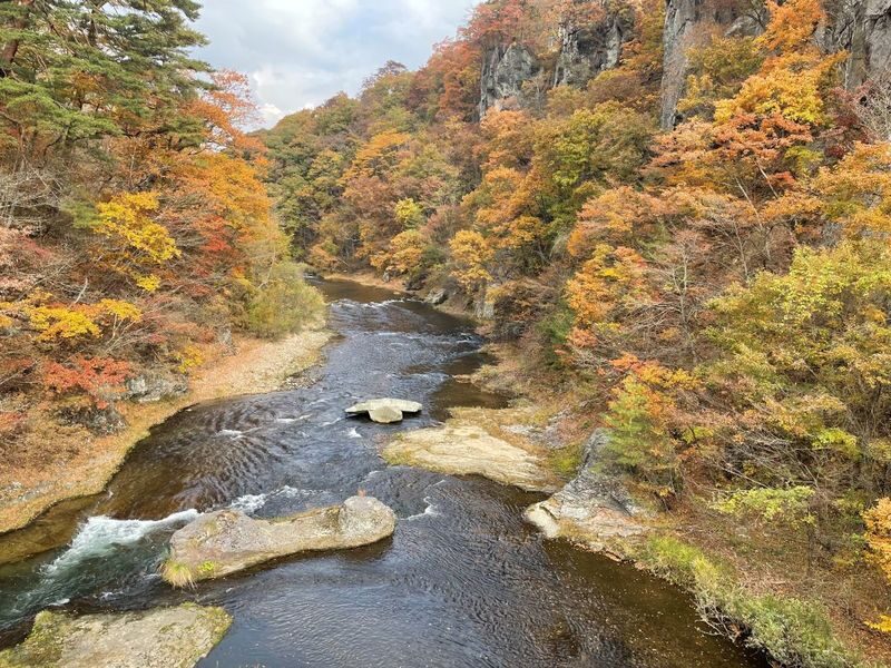 Gunma Day Trip: Autumn Fukiware Falls Maple Viewing/Winter Tambara Ski Park Snow Play & Fruit Picking Experience (Departing from Shinjuku, Tokyo) - Harada Farm: picking fruit and sorting out lunch
