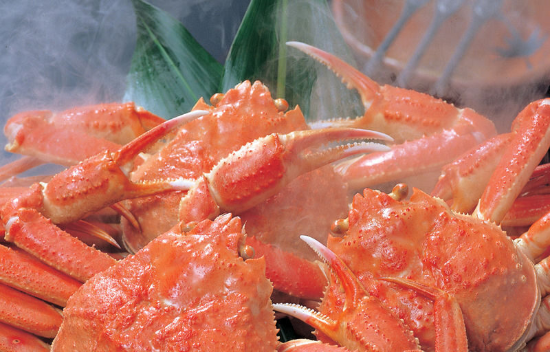Hakata Kora Honten: A Crab Cuisine Culinary Experience - What the Experience Package includes