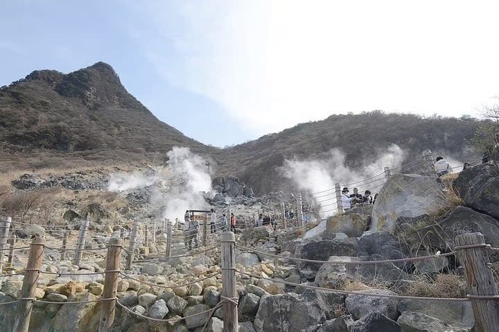 Hakone 6hr Private Tour with Government-Licensed Guide - The Hakone Shrine and the stories behind it