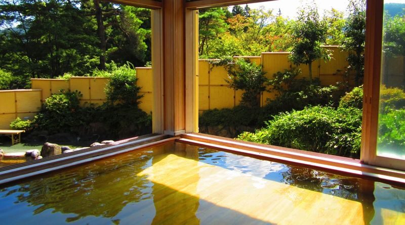 Hakone Kowaki-en Yunessun Hot Spring Theme Park Ticket - Start in the swimsuit area for the themed baths