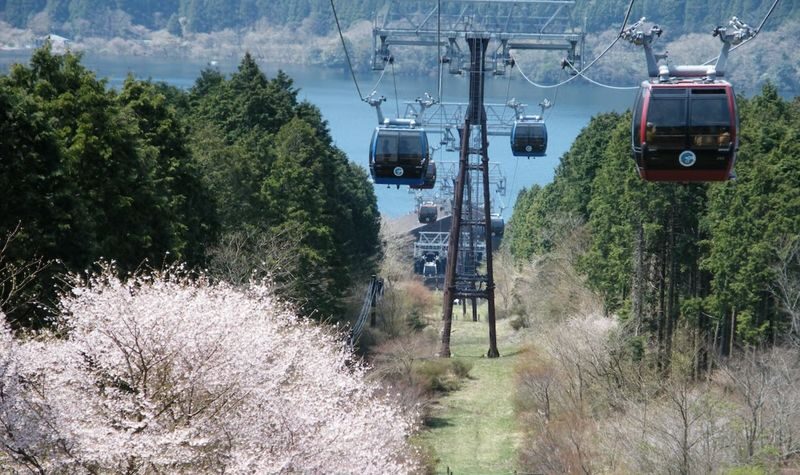 Hakone Ropeway One-Way / Round-Trip Ticket - Owakudani: steam, steep slopes, and a useful stop
