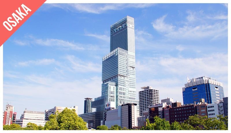 Have Fun in Japan Pass (with options: Okinawas DMM Aquarium and Kuyshus Kokura Castle) - Osaka and Kansai: towers, castles, and regional variety