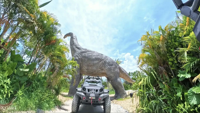 Have Fun in Okinawa Premium Pass (Day tour, Churami Aquarium and DMM Aquarium) - Churaumi Aquarium and DMM Aquarium