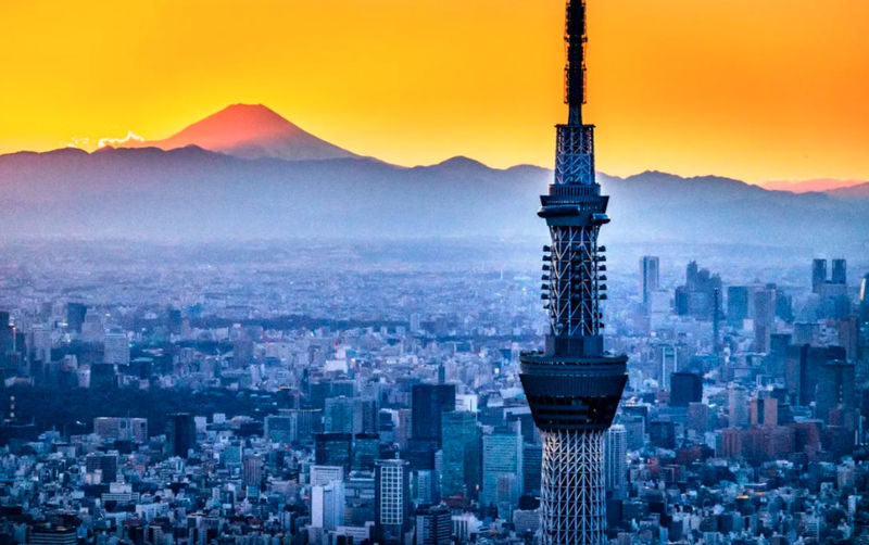 Have Fun in Tokyo Pass (with options: Warner Brothers and teamLab Planets Tokyo) - Planning three picks that earn their keep
