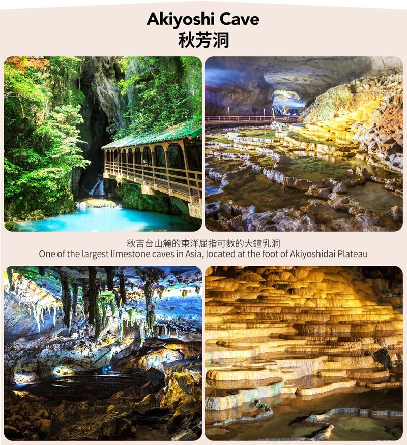 Hebu Kari Observatory, Akiyoshido Cave, Motonosumi Shrine, and Tsunoshima Bridge Day Trip (From Fukuoka) - Mekari Parking Area: a quick look over the Kanmon Strait