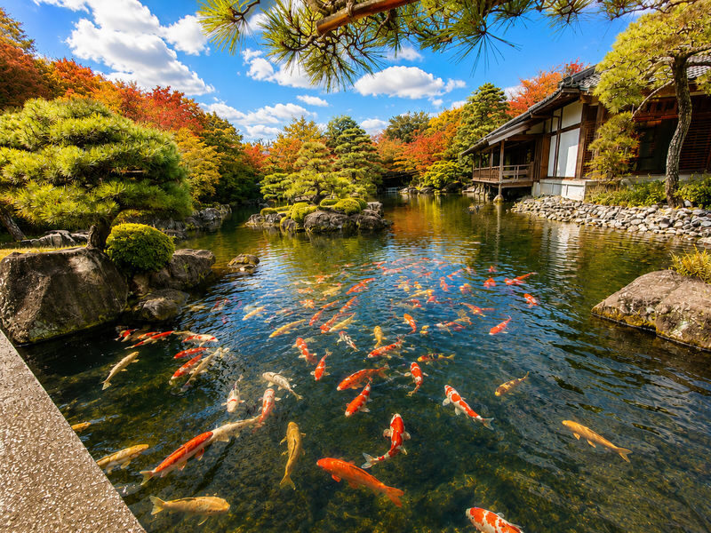 Himeji Castle, a World Heritage Site, Arima Onsen, one of Japans three ancient hot springs, and Mount Rokko Observation Deck Day Tour (Departing from Osaka) - Himeji Castle: allow time for the keep