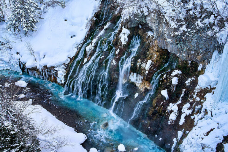 Hokkaido Asahiyama Zoo & Biei One Day Tour | Chinese/English Bilingual Tour Guide + Optional Small Group + Optional Hotel Pick-up - The summer description does not match the winter route