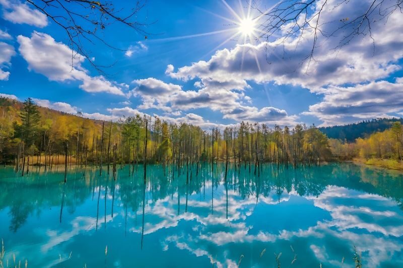 Hokkaido: Asahiyama Zoo + Shirogane Blue Pond - Summer Limited Furano Flower Fields Day Tour - Asahiyama Zoo: the day’s biggest stop