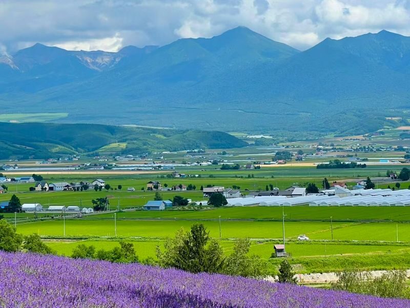 Hokkaido Autumn Exclusive | Farm Tomita, Shikisai no Oka, Blue Pond, Shirasu Waterfall Day Tour (Departing from Sapporo) - Patchwork Road: a quick look at Biei’s fields