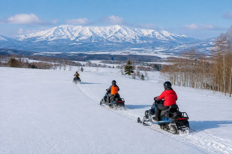 Hokkaido Biei Chiyoda Farm Snowmobile Experience | Includes Farm-Limited Jersey Milk - The lookout and the Daisetsuzan view