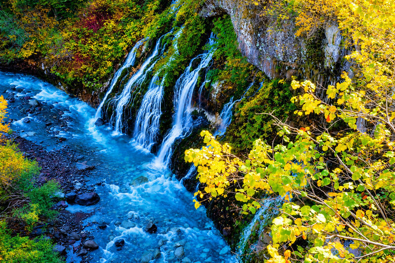Hokkaido Biei Furano Day Tour: Shikisai-no-Oka, optional snowmobile in winter, Shirogane Blue Pond, Shirahige Waterfall, Ningle Terrace - Biei Station: a lunch break with choices