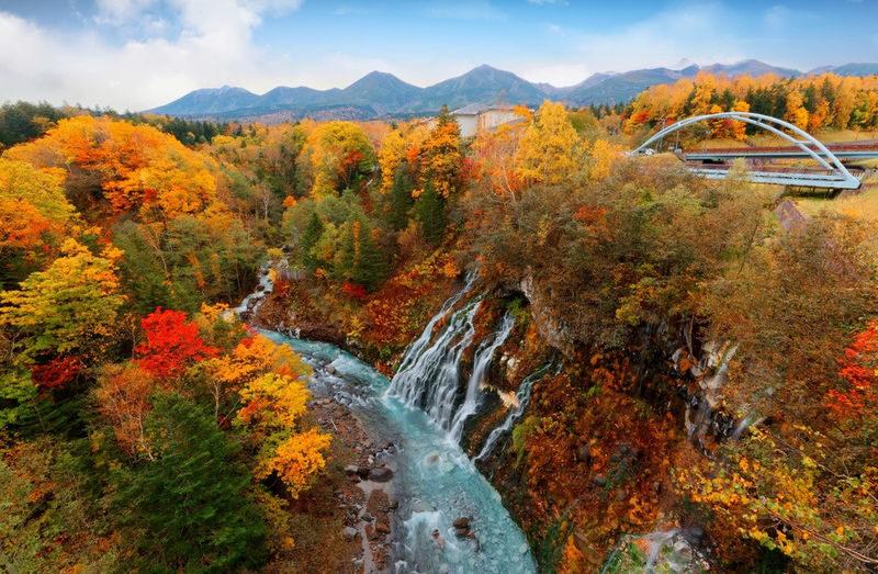 Hokkaido: Customizable Private Car Charter Day Tour | Departs from Sapporo - Pick a route that fits one day
