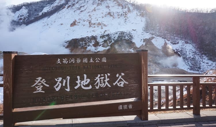 Hokkaido Noboribetsu & Lake Toya Day Trip | Optional Small Group | Bilingual in Chinese and English - Showa Shinzan: choose the ropeway or the bears