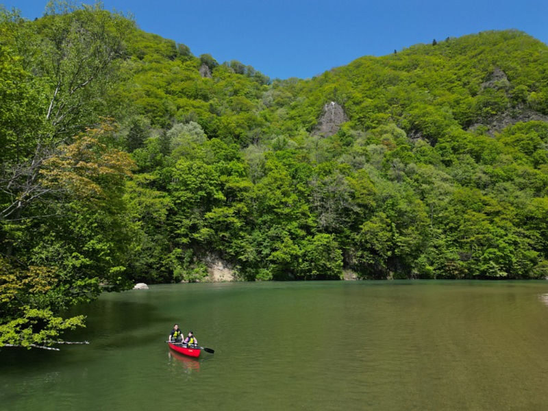 Hokkaido, Sapporo, Jozankei: Gently cruising while enjoying the scenery ~Relaxing Canoe Tour~ (with bonfire & roasted marshmallows) - What to expect from the outing
