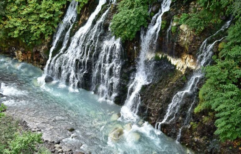 Hokkaido Shikisai no Oka & Farm Tomita Full-Day Small Group Adventure - Shikisai no Oka: color on a grand scale