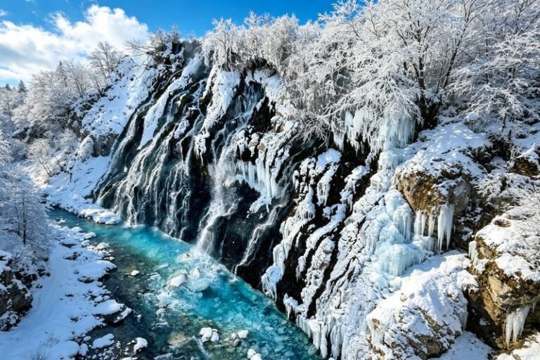 Hokkaido Winter Full-Day Tour | Penguin Walk, Platinum Blue Pond, Shirahige Falls, Forest Elf Terrace | Departure from Sapporo, Chinese and English Tour Guide - Asahiyama Zoo: the day’s biggest stop