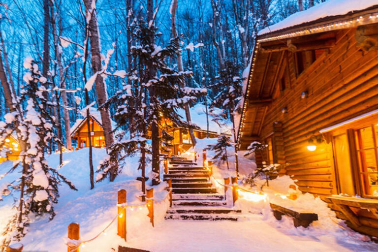 (Hokkaido Winter Illumination) Blue Pond Illumination & Ningle Terrace & Shirahige Waterfall & Shikisai no Oka & Biei Christmas Tree One-Day Tour (Departing from Sapporo) - Shikisai no Oka: snow replaces the flower carpet