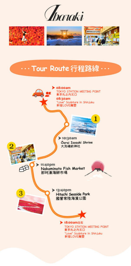 Ibaraki Coastal Flower Scenery Tour - Oarai Isosaki Shrine Torii, Nakaminato Fish Market, Hitachi Seaside Park Day Trip - Oarai’s torii belongs to the sea