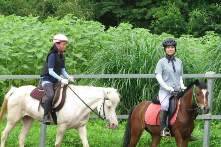 Ibaraki | Mt. Tsukuba Horseback Riding Experience - Picking the right ride length