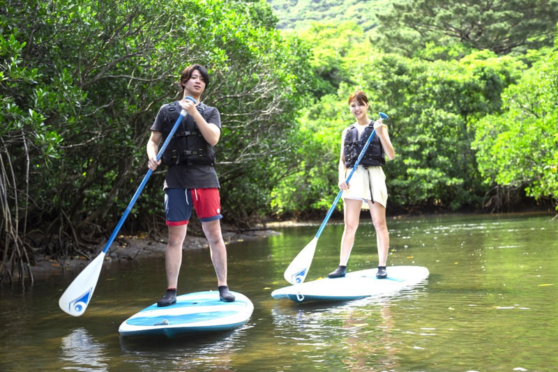 Iriomote Island Mangrove SUP or Canoe Half-Day Experience (Okinawa) - Canoe or SUP: pick the kind of effort you want