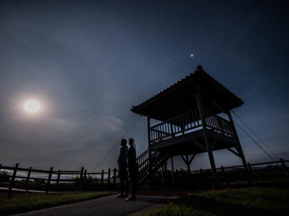 Iriomote Island Stargazing & Jungle Night Tour (Okinawa) - Walking the jungle edge and searching for wildlife