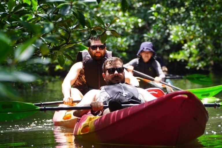 Iriomote Island: Yubu Island Sightseeing & Customizable 1-Day Experience (SUP or Canoe/Snorkeling/Canyoning) - A morning among mangroves, sea or waterfalls