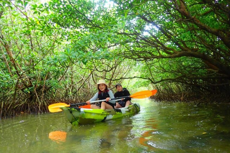 Ishigaki Island: 1-Day Tour Mangrove SUP & Canoe & Blue Cave Snorkeling - Paddling the Miyara River mangroves