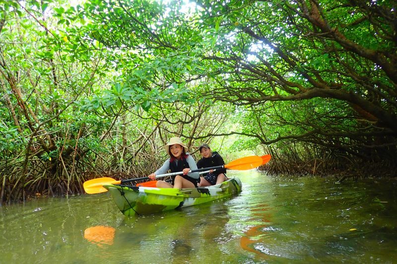 Ishigaki Island: 1-Day Tour Mangrove SUP & Canoe & Blue Cave Snorkeling - Paddling the Miyara River mangroves