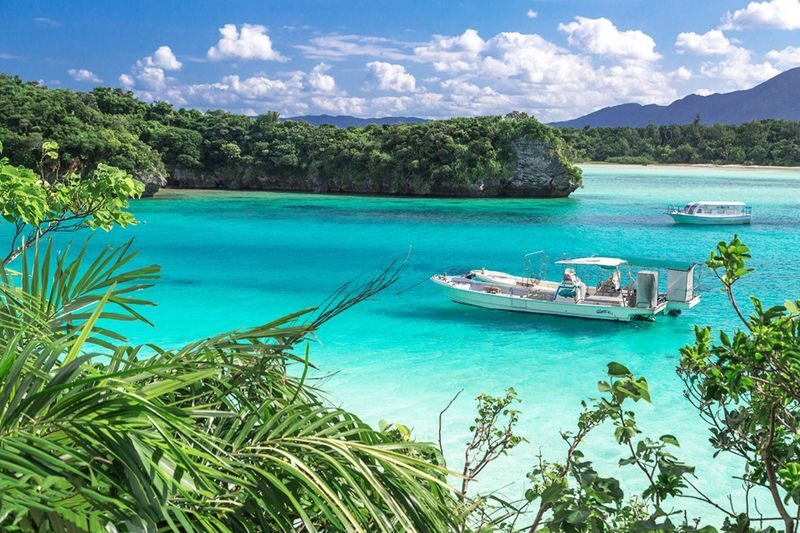 Ishigaki Island Guided Sightseeing Photo Tour: Visiting Popular Spots like Kabira Bay with Photo Data Included - Nagura Bay: mangroves before the famous bay