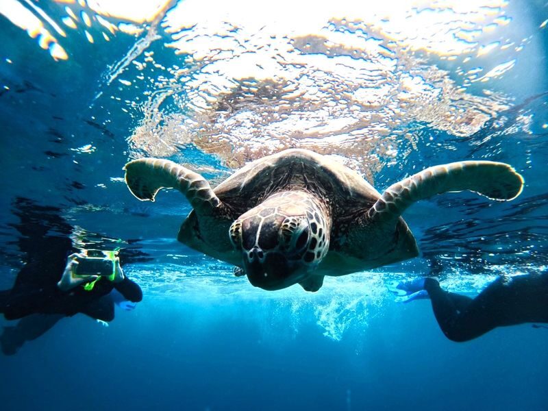 Ishigaki Island/Half-Day: Blue Cave Exploration & Snorkeling (Okinawa) - Exploring the cave and snorkeling the reef